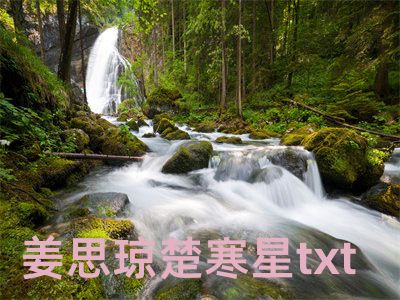 姜思琼楚寒星txt