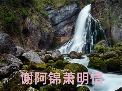 谢阿锦萧明憬