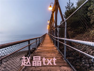 赵晶txt全文免费试读