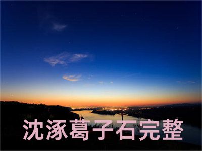 沈涿葛子石完整全文免费试读