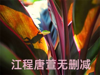 江程唐萱无删减全文免费试读