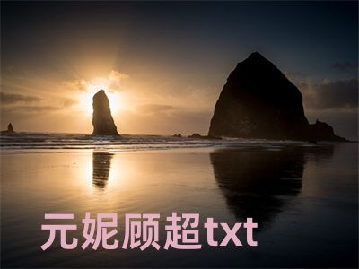 元妮顾超txt