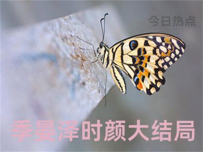 季晏泽时颜大结局全文免费试读